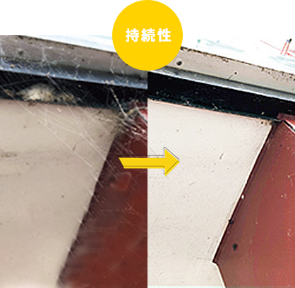 持続性 加工前→加工後３ヶ月