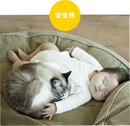安全性 猫、子供写真
