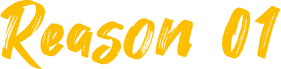 Reason01
