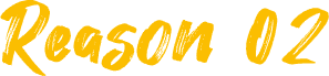 Reason02