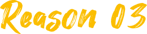 Reason03