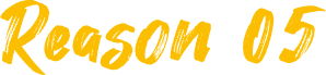 Reason05
